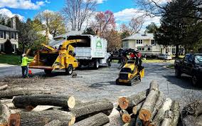 Best Tree Health Inspection  in Garrison, TX
