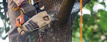 Best Soil Testing and Treatment  in Garrison, TX