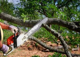 Lawn Drainage Solutions in Garrison, TX