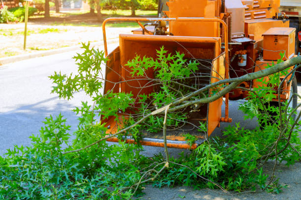 Best Lawn Pest Prevention  in Garrison, TX