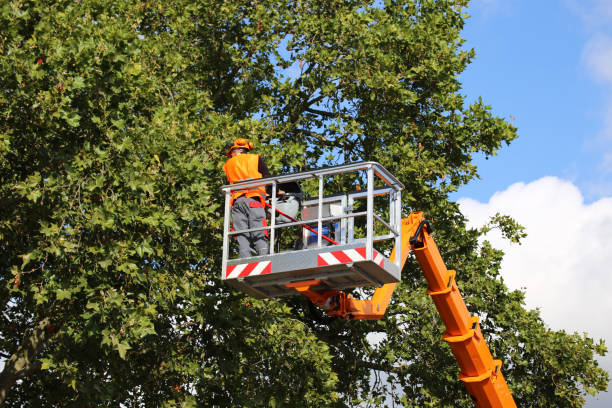Best Pest Control for Lawns  in Garrison, TX